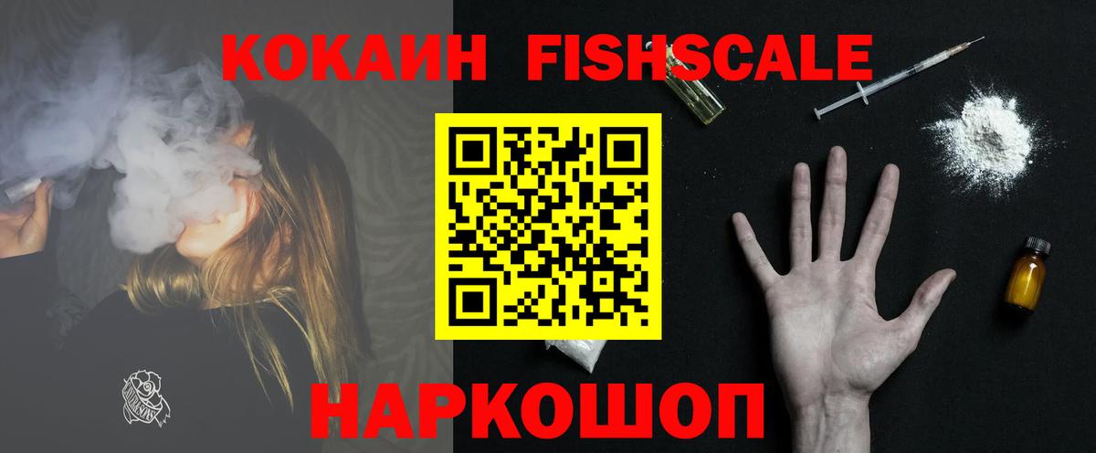Димитровград  КОКАИН Fish Scale  Вход с VPN 