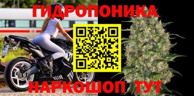 молекула духа Балахна
